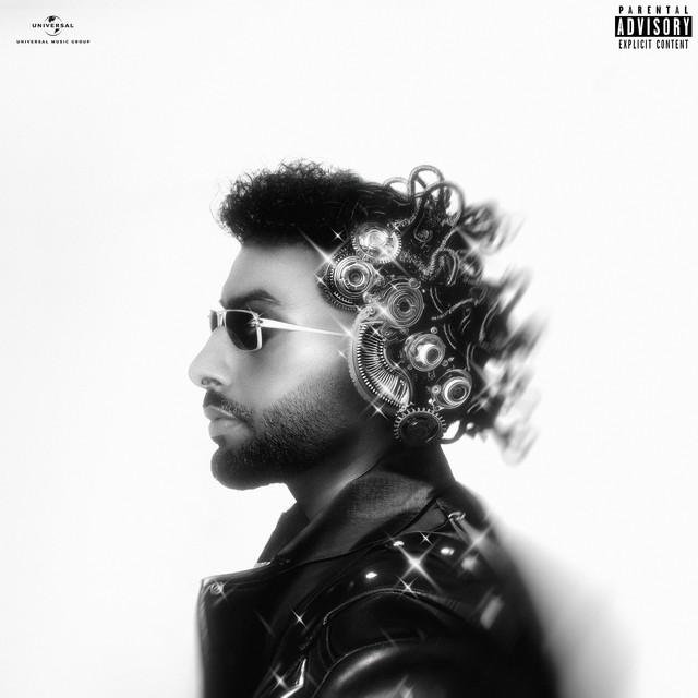 Lighter Cover