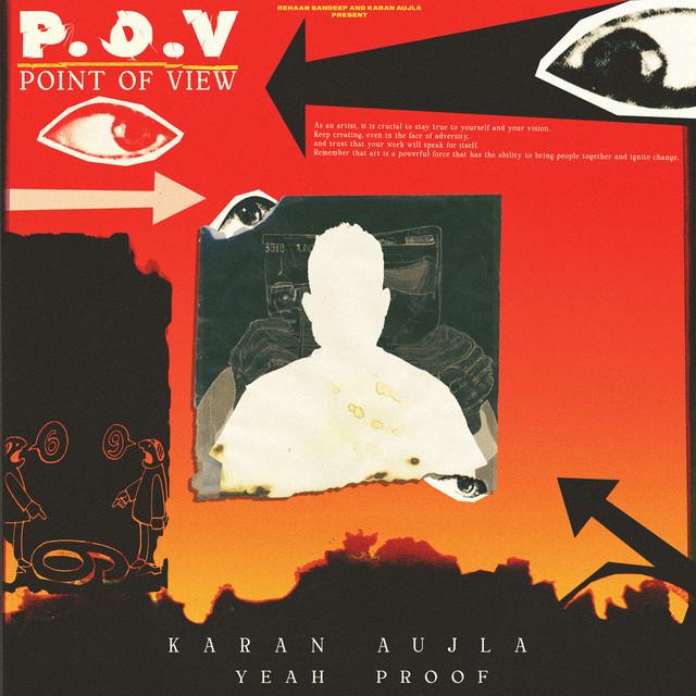 P.O.V Cover