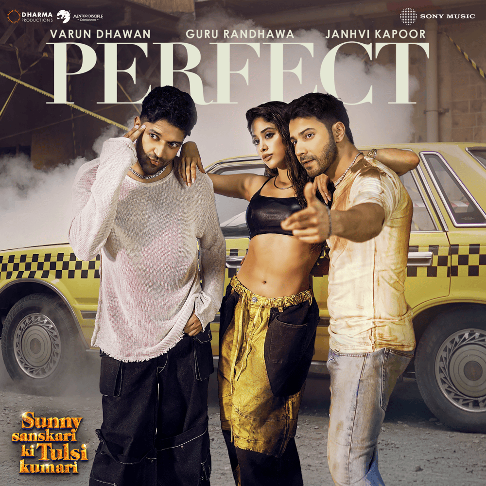 PERFECT Cover