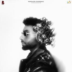 Ambarsaria Cover