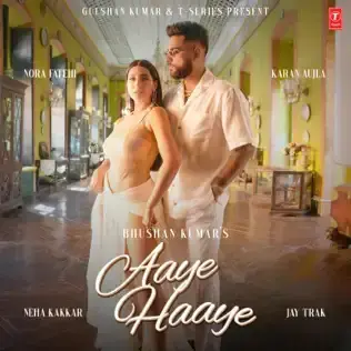 Aaye Haaye Cover