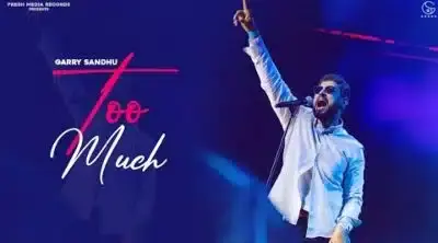 Too Much