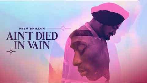 Ain't Died in Vain