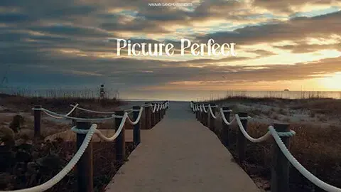 Picture Perfect Cover