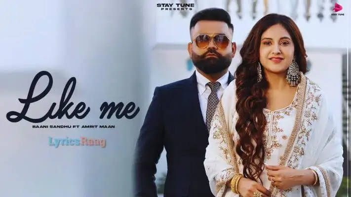 Like Me Cover
