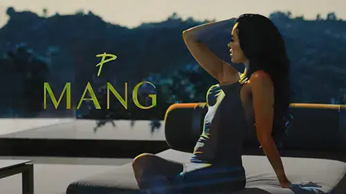 Mang Cover