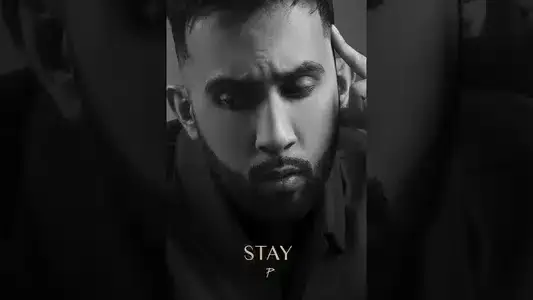 Stay Cover