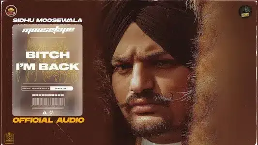 B***h I'm Back Cover