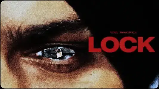 Lock Cover